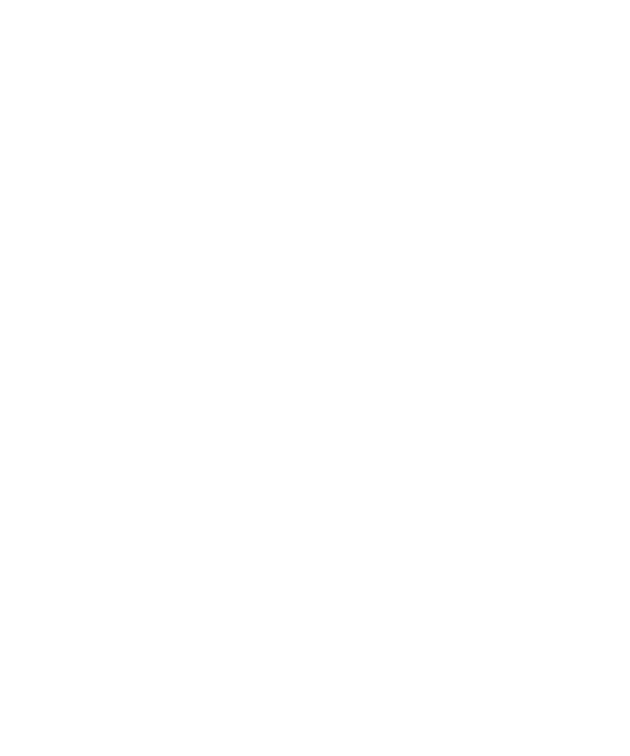 Düsseldorf Warriors Wordmark